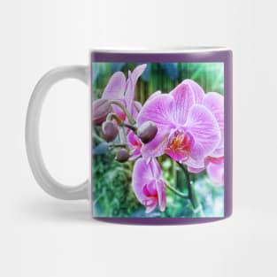 Pink Orchid flowers. Botanical art Mug